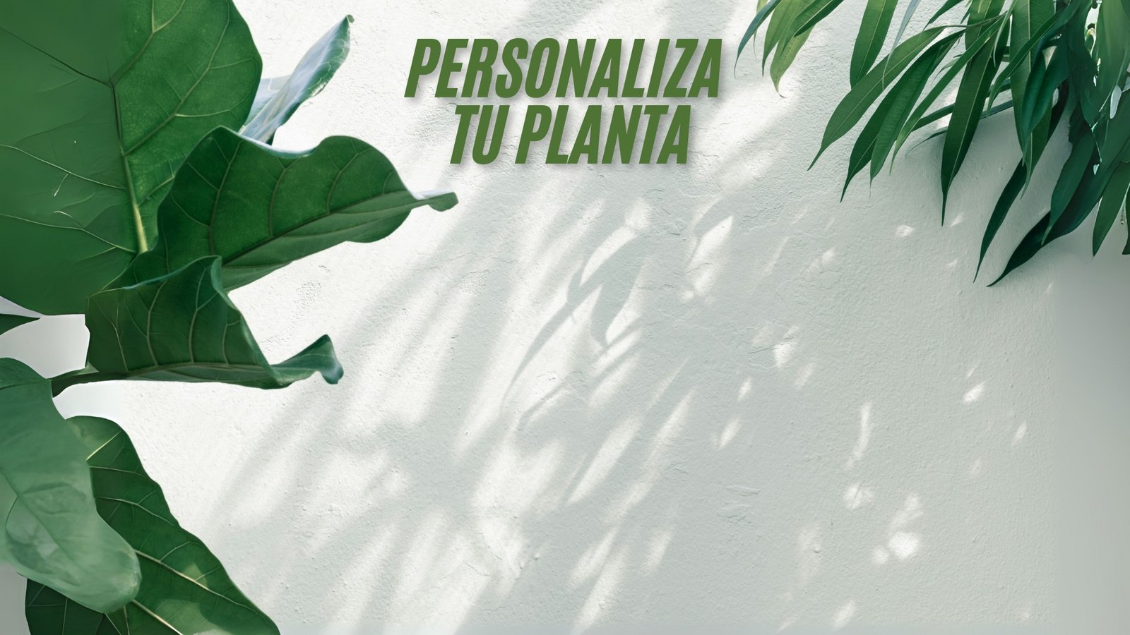 prueba
